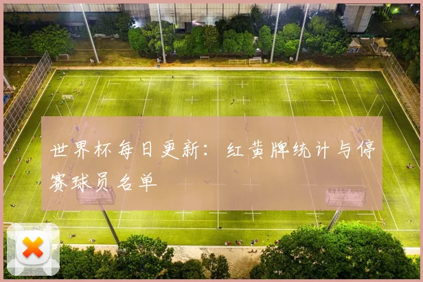 世界杯每日更新:红黄牌统计与停赛球员名单
