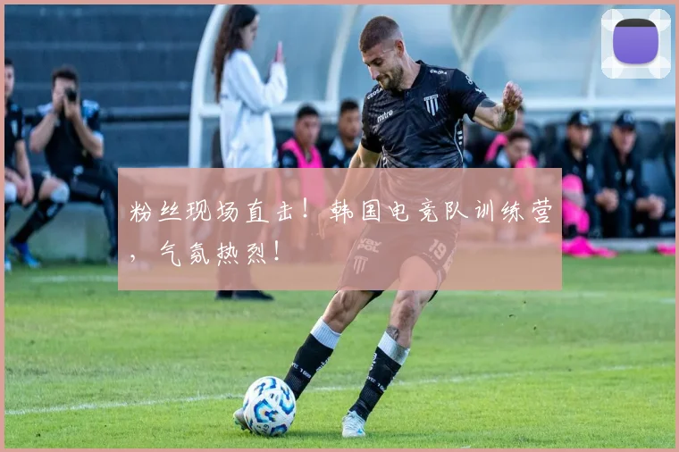 粉丝现场直击！韩国电竞队训练营，气氛热烈！