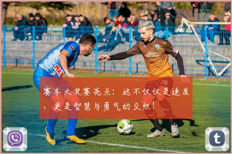 赛车大奖赛亮点：这不仅仅是速度，更是智慧与勇气的交织！