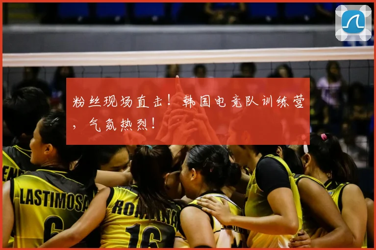 粉丝现场直击!韩国电竞队训练营,气氛热烈!