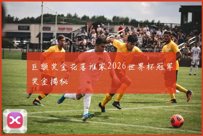 巨额奖金花落谁家2026世界杯冠军奖金揭秘