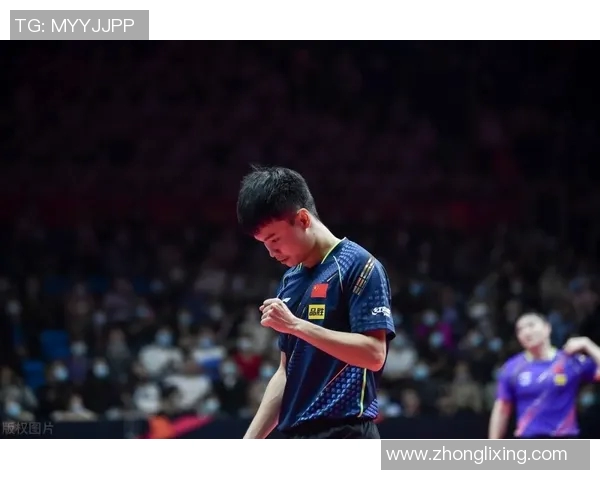 从零基础到高手之路乒乓球比赛全方位技巧与经验分享