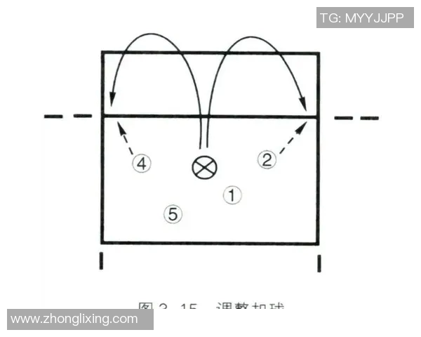 排球新手必看:快速掌握技巧与战术的全面入门指南 排球新手必看:快速掌握技巧与战术的全面入门指南