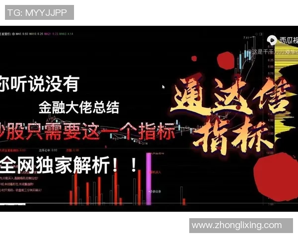 独家解析西安排球队灵活性差异及其对战术布局的影响