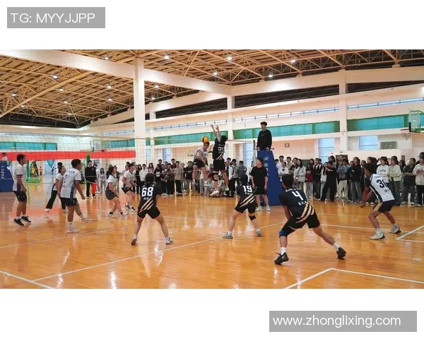 上海排球队的精神风貌与团队意识探讨